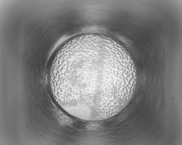 X0000078831462200612041800