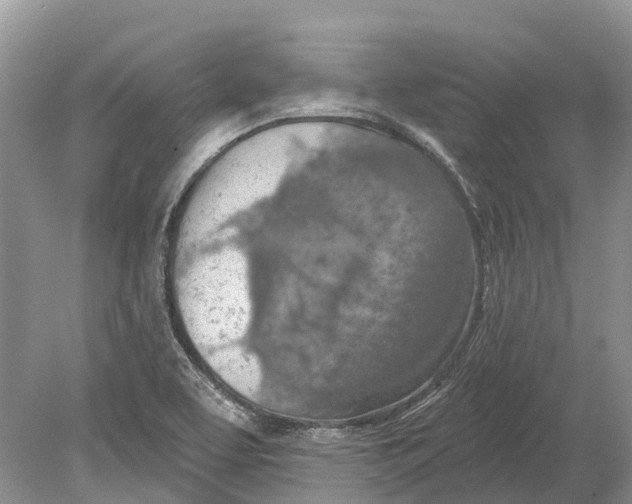 X0000078831463200612041800