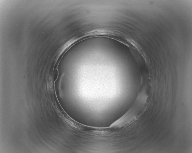 X0000078831465200612041800