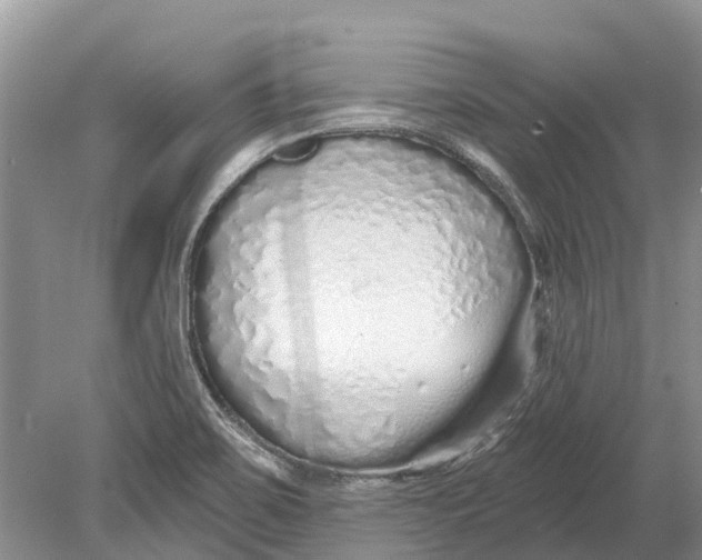 X0000078831467200612041800