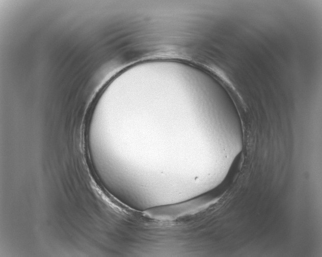 X0000078831468200612041800