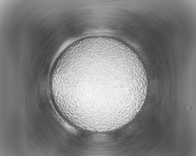 X0000078831470200612041800