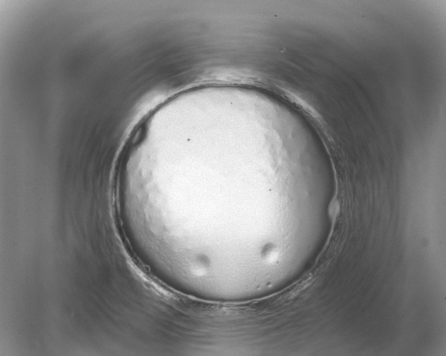 X0000078831471200612041800