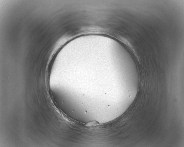 X0000078831472200612041800