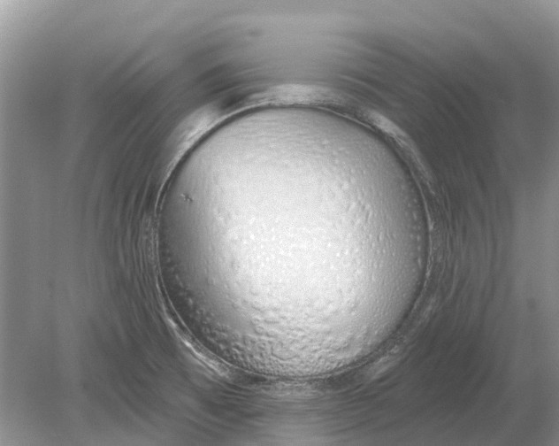 X0000078831473200612041800