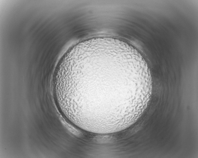 X0000078831474200612041800