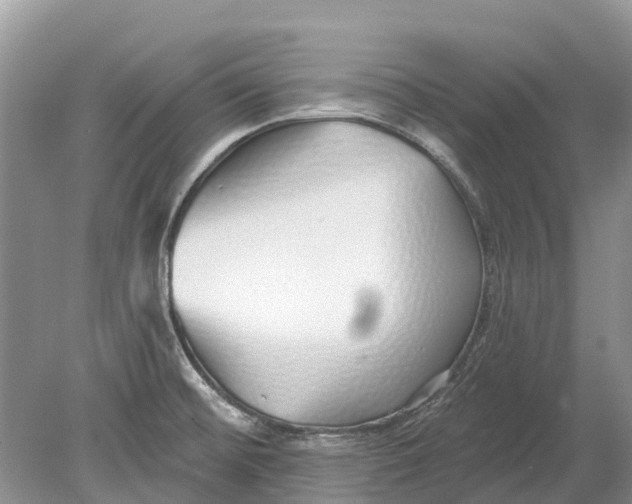 X0000078831476200612041800