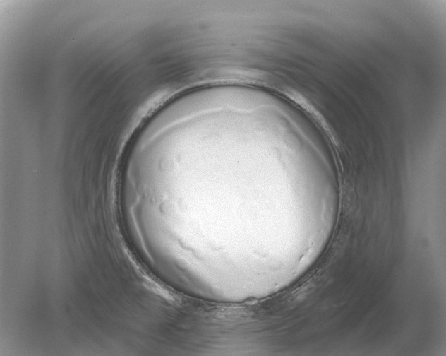 X0000078831477200612041800