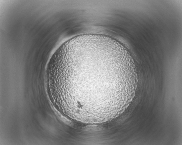 X0000078831478200612041800