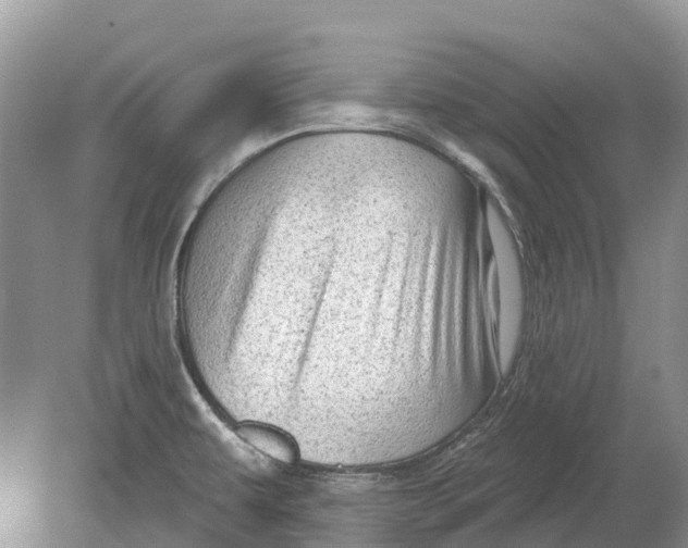 X0000078831479200612041800