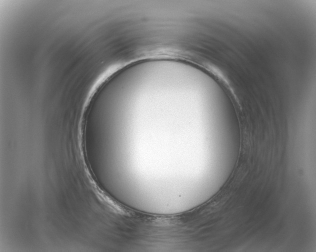 X0000078831480200612041800