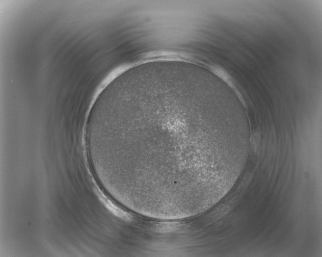 X0000078831482200612041800