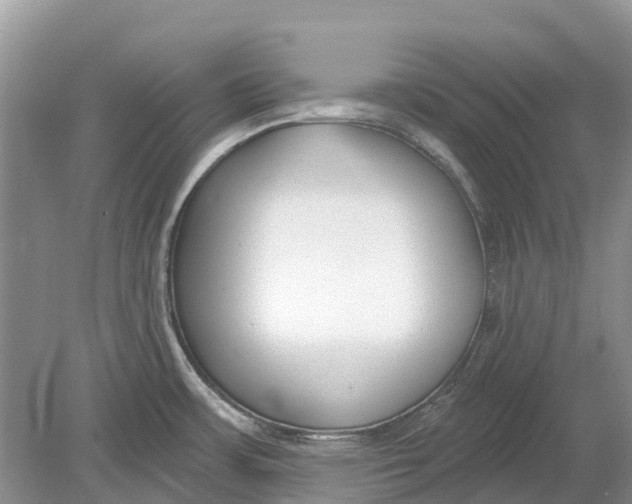 X0000078831483200612041800