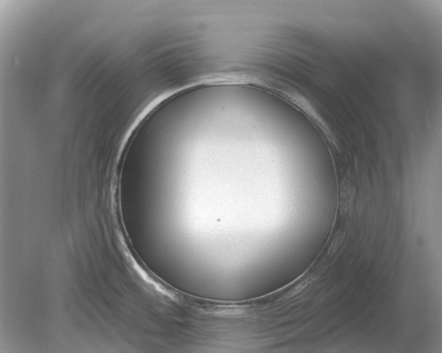 X0000078831484200612041800