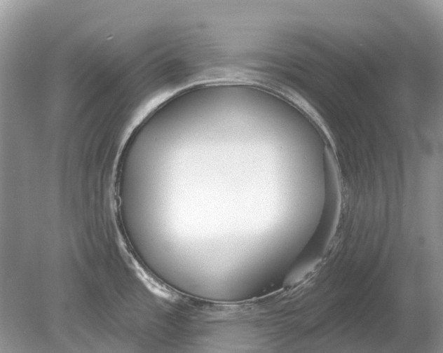 X0000078831485200612041800