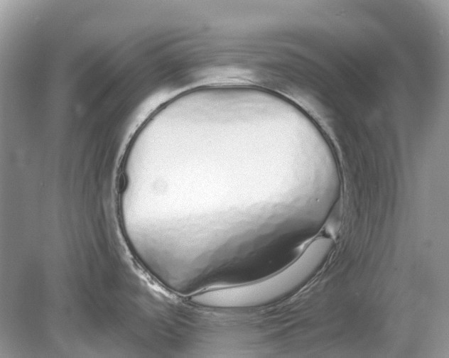 X0000078831488200612041800