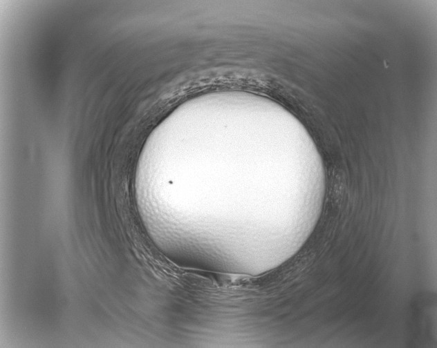 X0000078831489200612041759