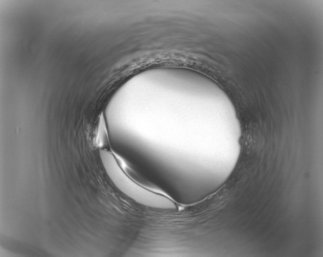 X0000078831490200612041759