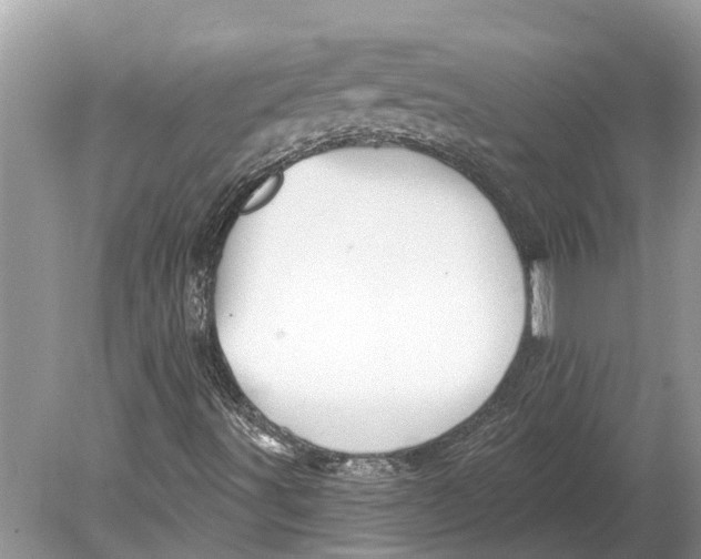 X0000078831491200612041759