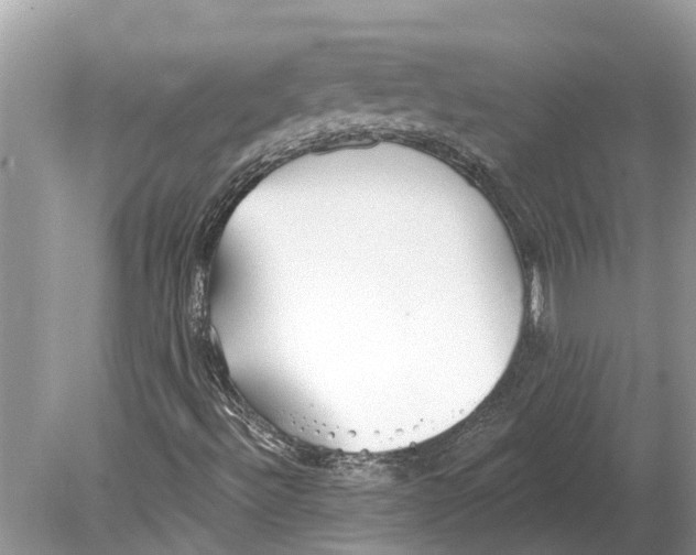 X0000078831492200612041759