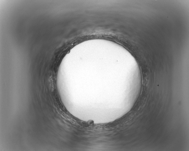 X0000078831493200612041759