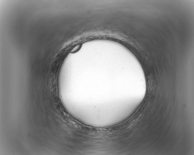 X0000078831494200612041759