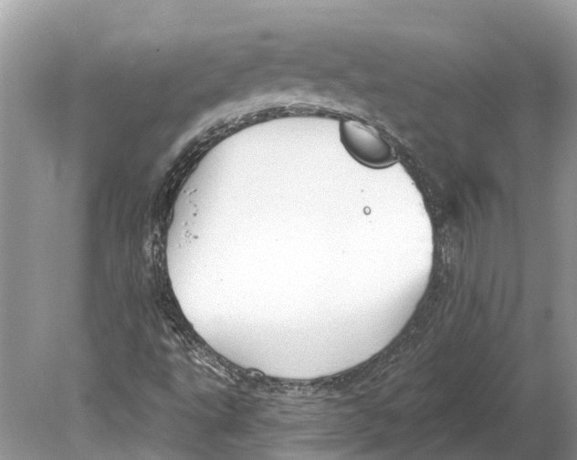 X0000078831495200612041759