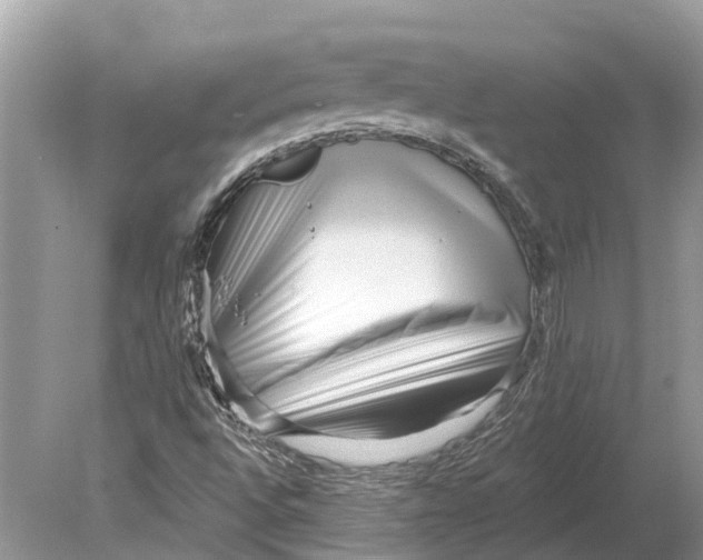 X0000078831496200612041759