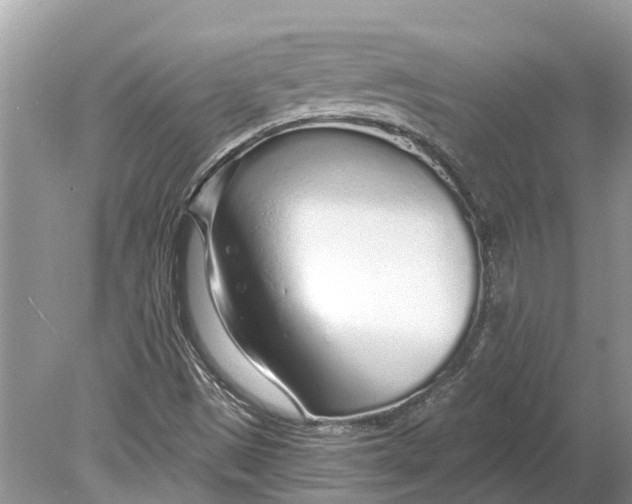 X0000078831497200612041759