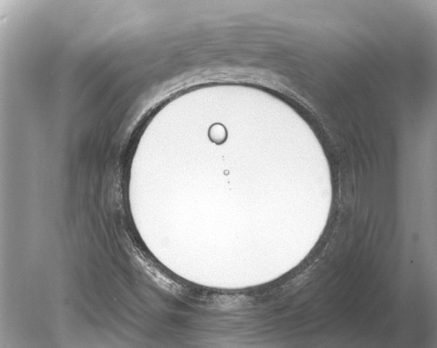 X0000078831498200612041759