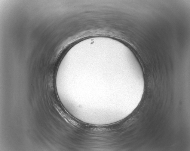 X0000078831499200612041759