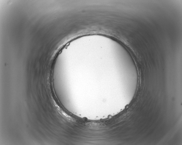 X0000078831500200612041759