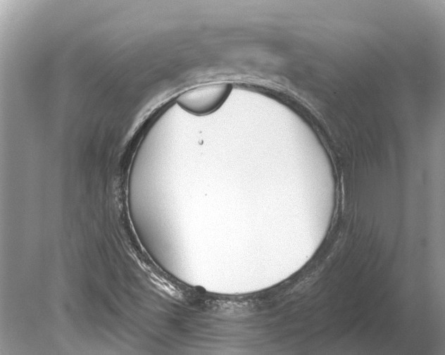 X0000078831501200612041759