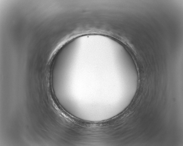 X0000078831504200612041759