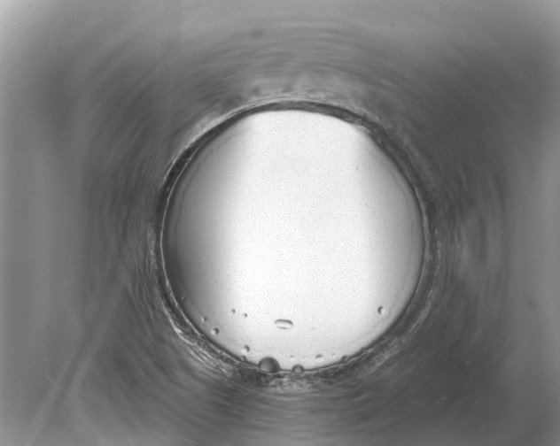 X0000078831505200612041759