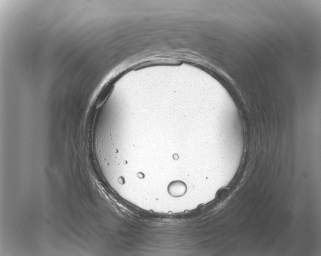 X0000078831506200612041759