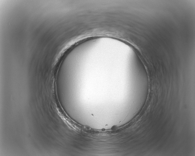 X0000078831507200612041759