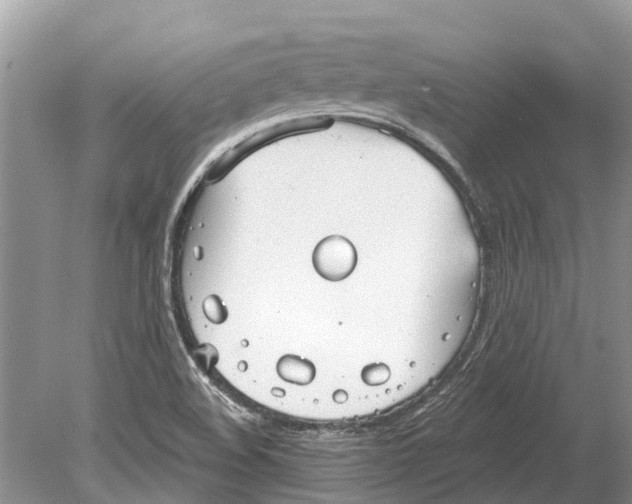 X0000078831508200612041759