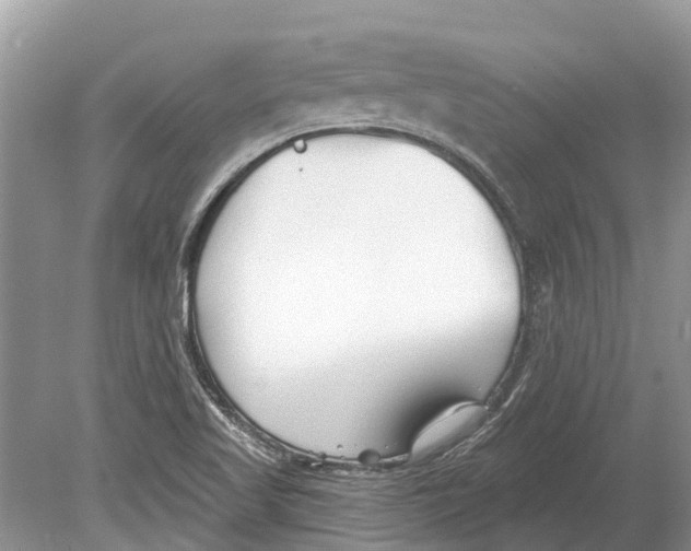 X0000078831509200612041759