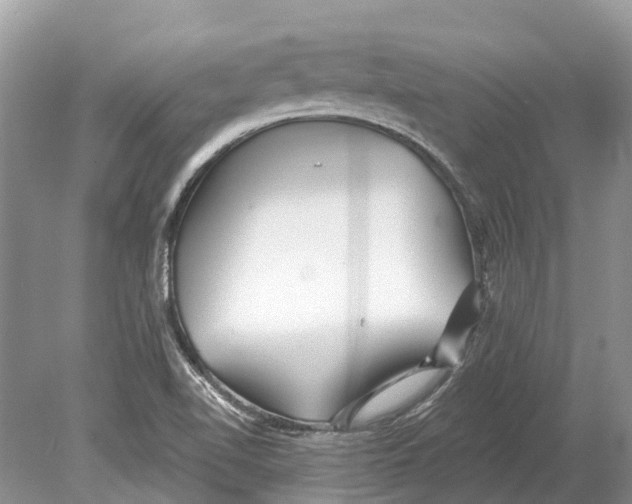 X0000078831510200612041759