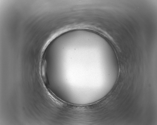 X0000078831512200612041800