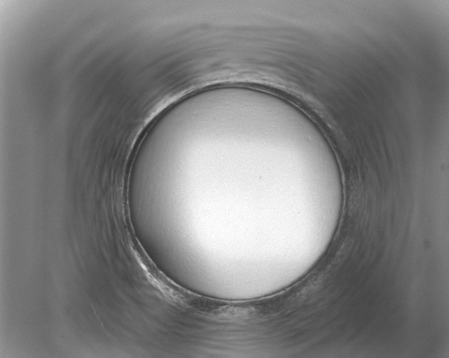 X0000078831513200612041800