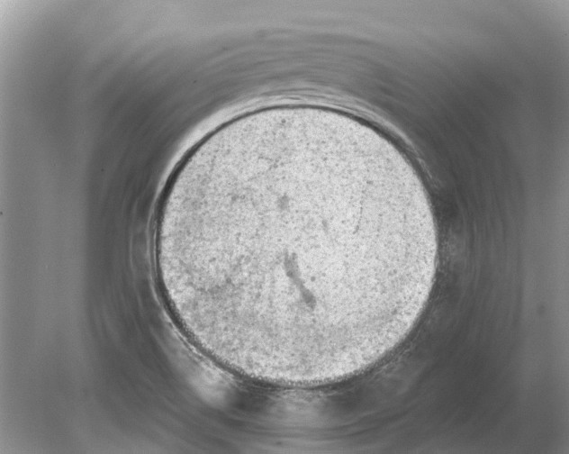 X0000078831514200612041800