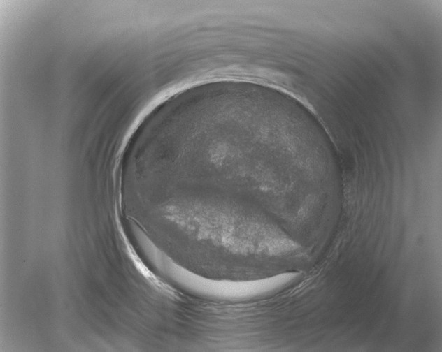 X0000078831515200612041800