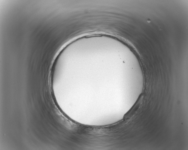 X0000078831516200612041800