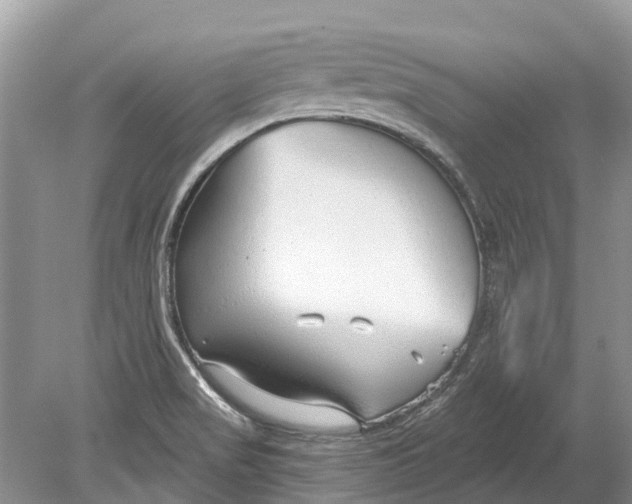 X0000078831517200612041800