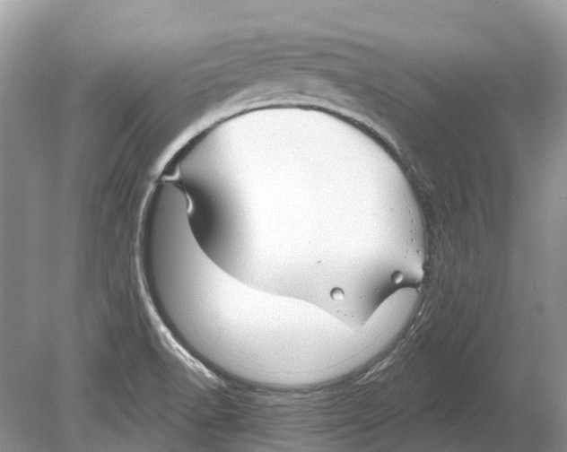 X0000078831518200612041800