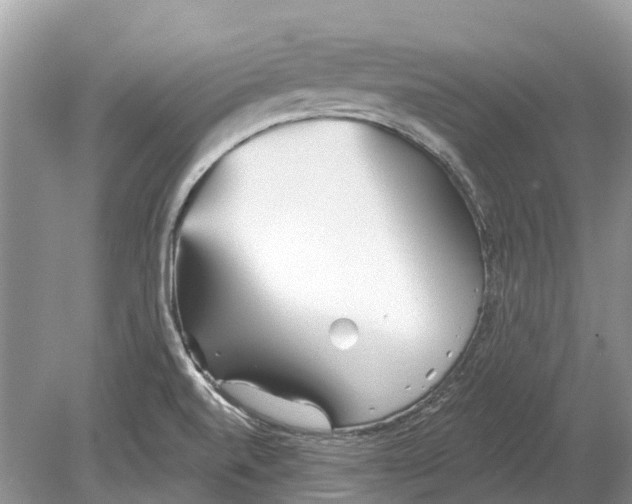 X0000078831520200612041800