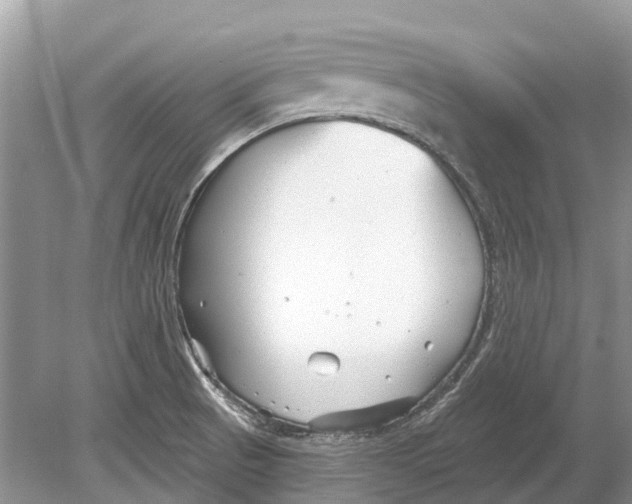 X0000078831521200612041800