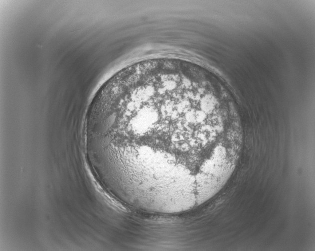 X0000078831522200612041800